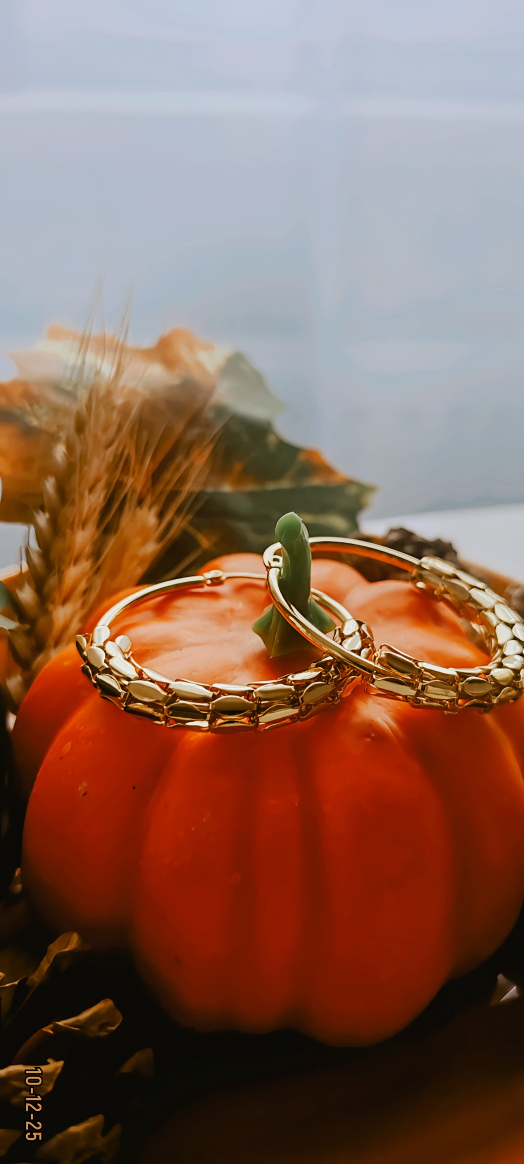 ✨ 14K Gold-Plated Hoop Earrings – 4cm Surgical Steel ✨